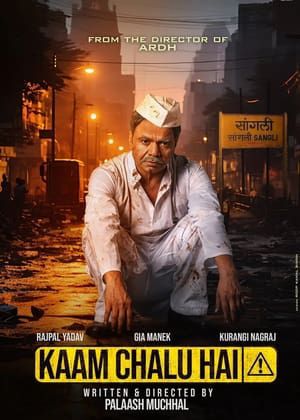 Kaam Chalu Hai 2024 Hindi HDRip